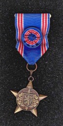 medaile 7. Vojenský pochod Lednice 2017
